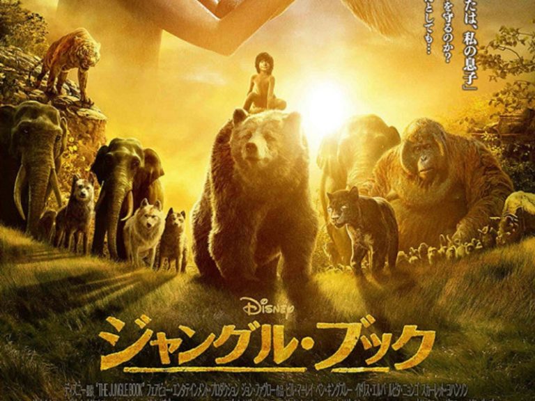 ピンクブックの意味