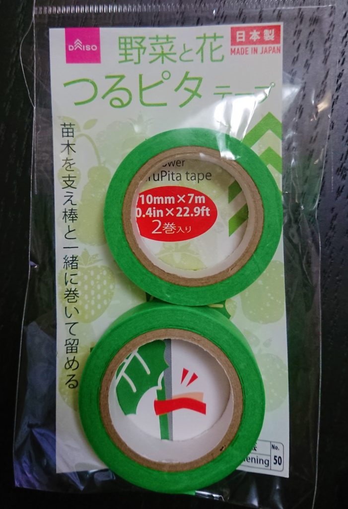 ミニトマトに念願の花が咲いた パペリ大学